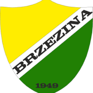 Brzezina Osiek